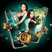 488 bet com 488 bet com