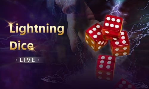 488 bet com