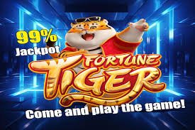 488 bet com